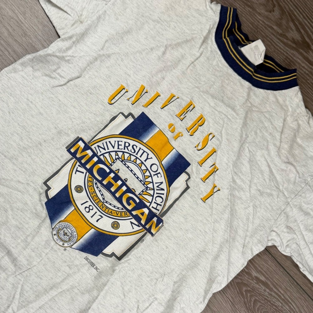 Collegiate Colors Mens University of Michigan Vintage Ringer T-Shirt Gray Large